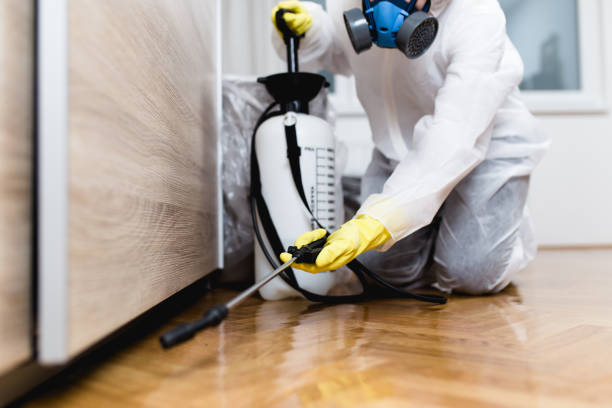 Best Wasp Removal Services  in Huntsville, AR
