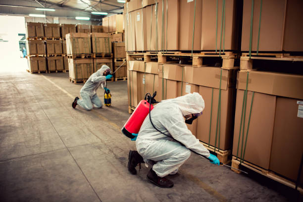 Best Rat Extermination Near Me  in Huntsville, AR