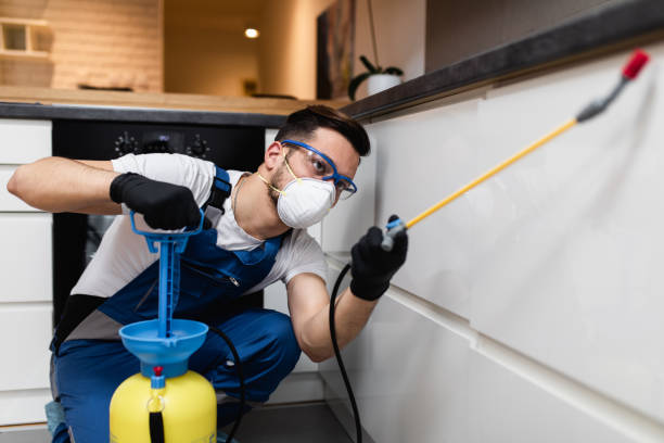 Wasp Removal Services in Huntsville, AR