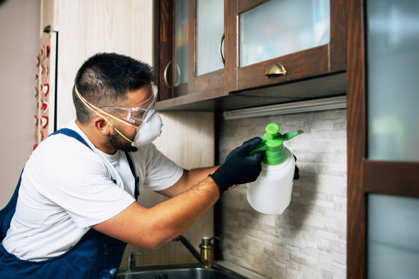 Best Best Pest Control Companies  in Huntsville, AR
