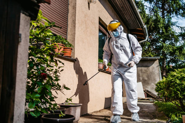 Best Emergency Pest Control  in Huntsville, AR
