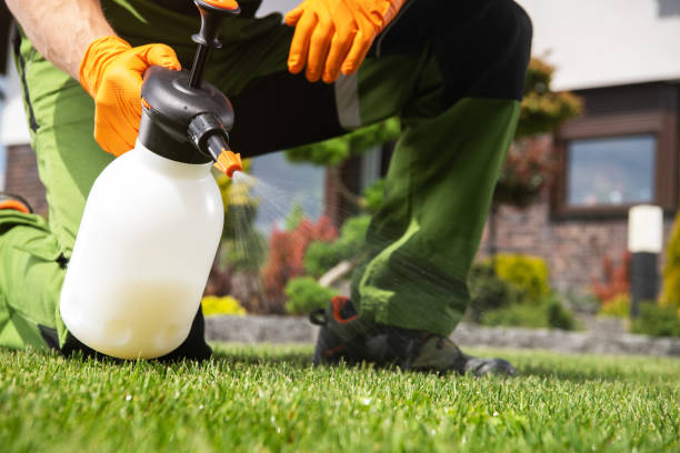 Best Pest Prevention Services  in Huntsville, AR
