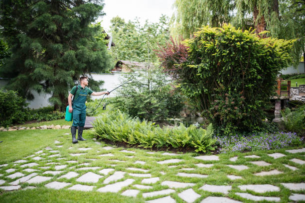 Best Local Pest Control Services  in Huntsville, AR