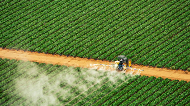 Best Insect Control  in Huntsville, AR