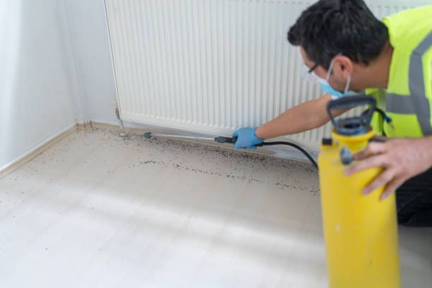 Best Bed Bug Extermination  in Huntsville, AR