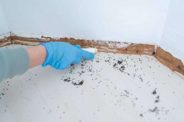 Best Best Pest Control Companies  in Huntsville, AR