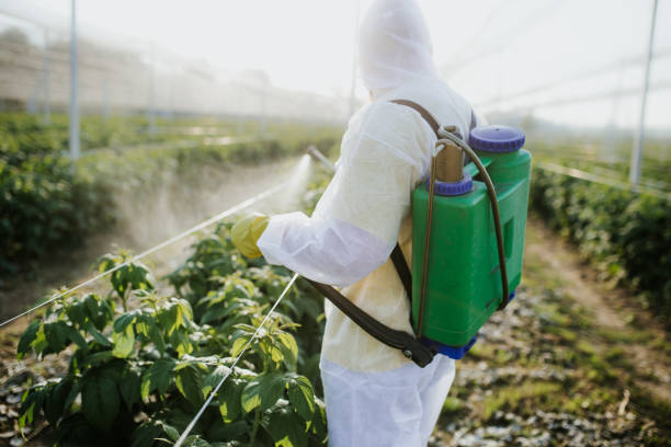 Best Pest Control for Restaurants  in Huntsville, AR